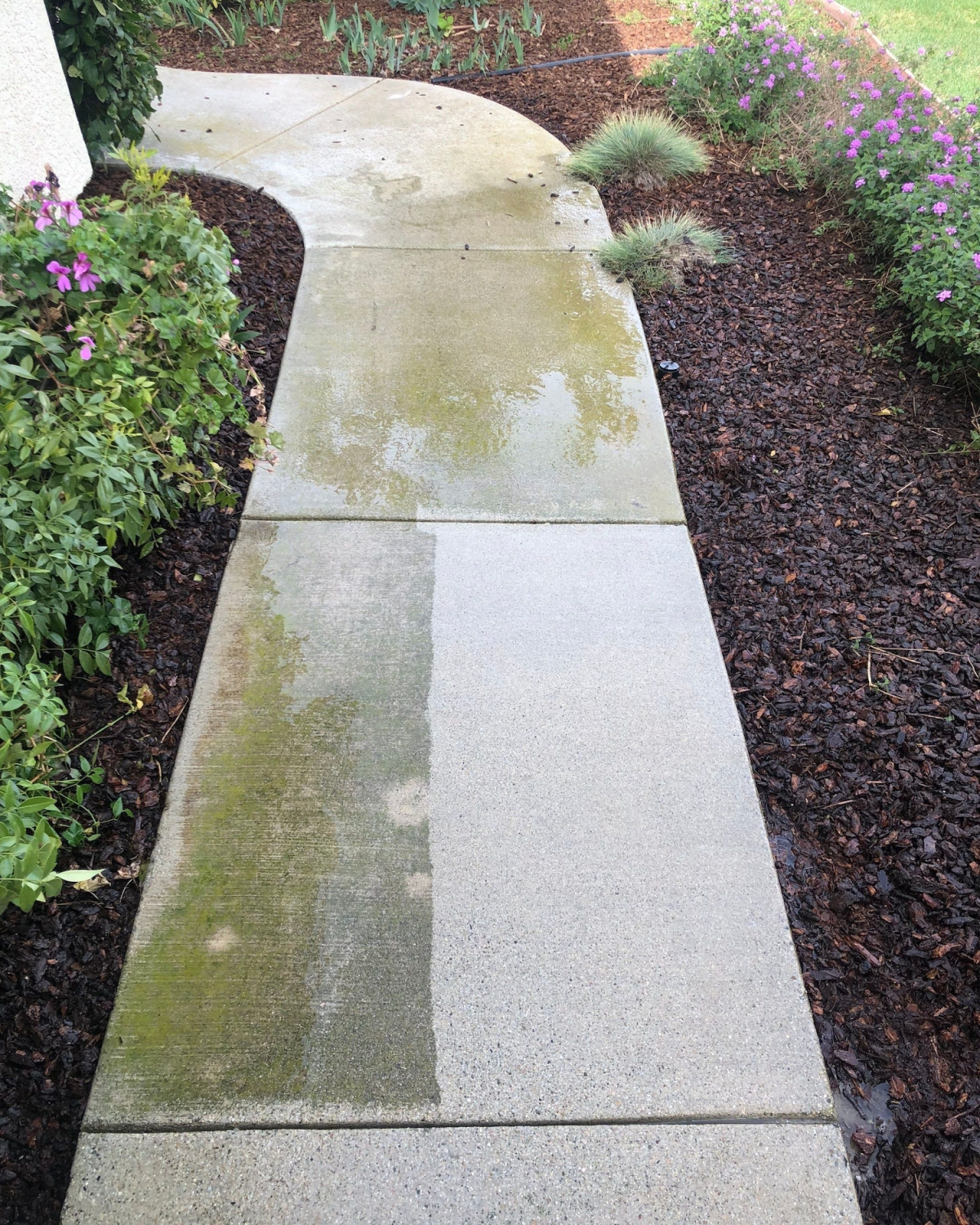Pressure Washing Sidewalk